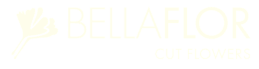 logo-1791331684567